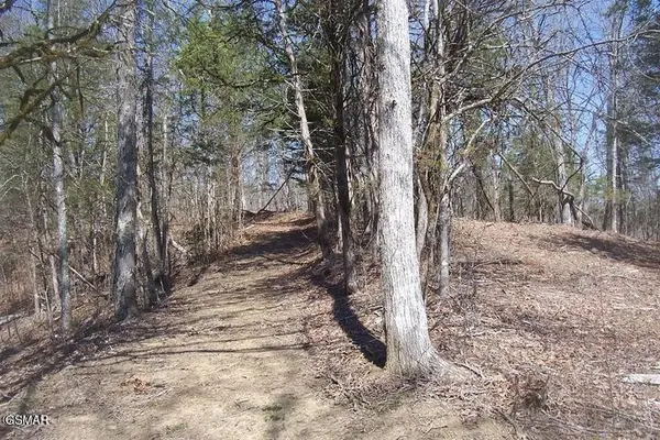 4 Flat Creek Rd, Sevierville, TN 37876