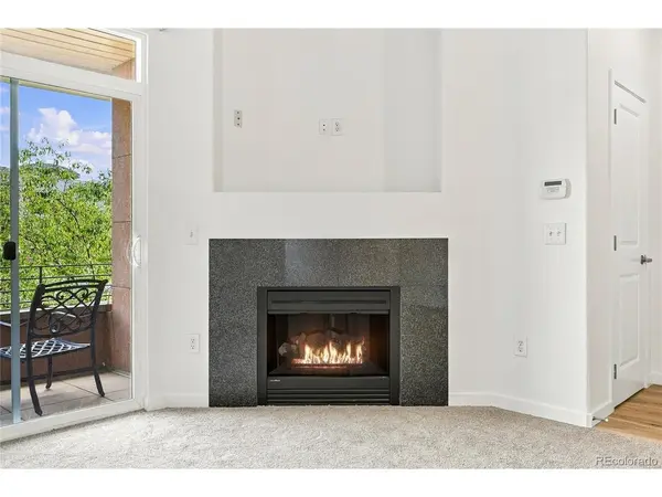 4100 Albion #6-618, Denver, CO 80216