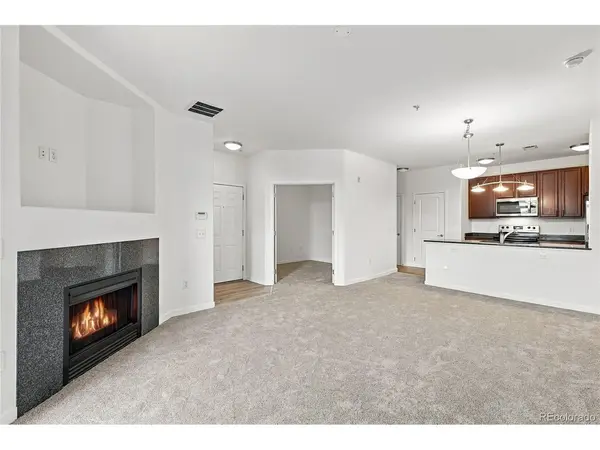 4100 Albion #6-618, Denver, CO 80216