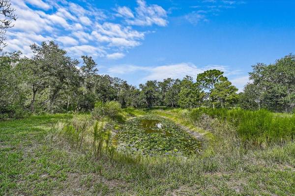 16535 CR 675 RD, Parrish, FL, 34219 photo 39