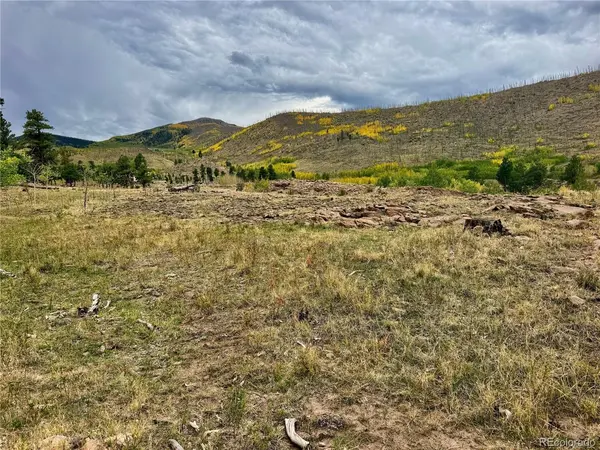 94 Rock Ridge, South Fork, CO 81154