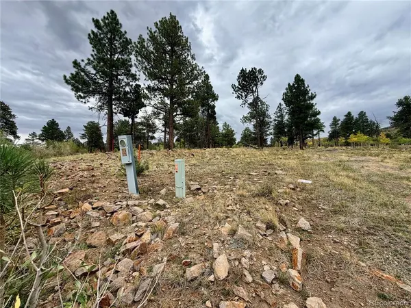 94 Rock Ridge, South Fork, CO 81154