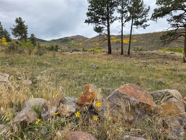 94 Rock Ridge, South Fork, CO 81154