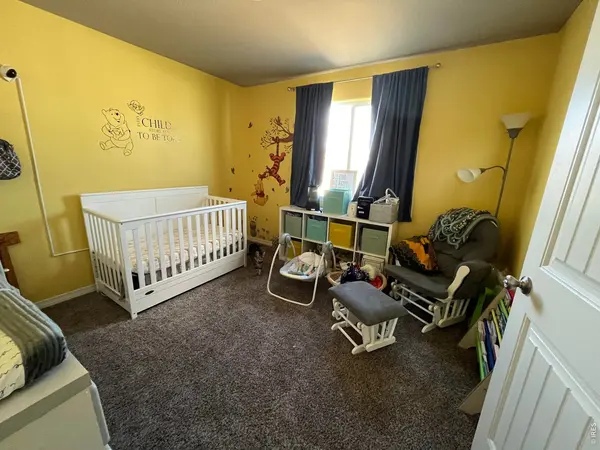1832 Ruddlesway, Windsor, CO 80550