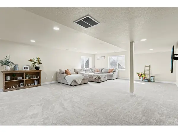 496 Gannet Peak, Windsor, CO 80550