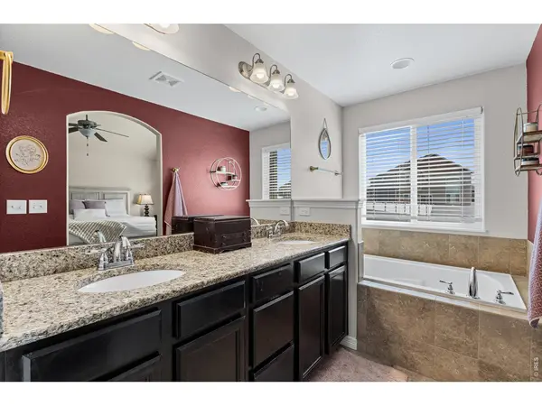 496 Gannet Peak, Windsor, CO 80550