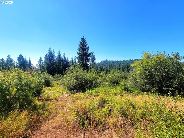 1 Simcoe Mtn Rsrv, Goldendale, WA 98620