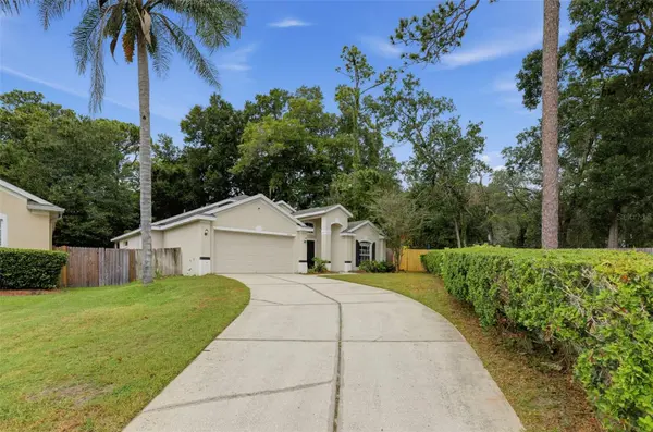 2361 CIMMARON ASH WAY, Apopka, FL 32703