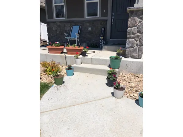 1832 Ruddlesway, Windsor, CO 80550