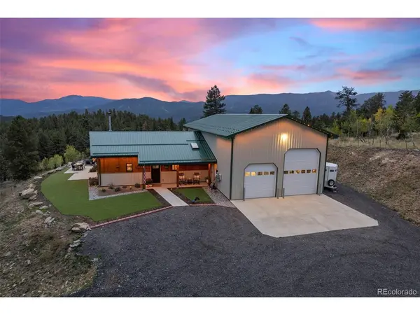 150 Summit, Bailey, CO 80421