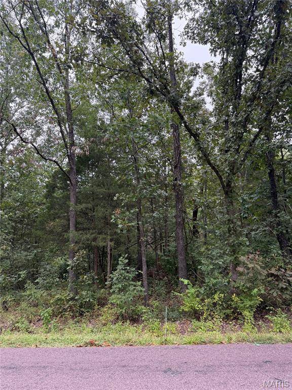 2128 Lone Wolf DR, Cuba, MO 65453