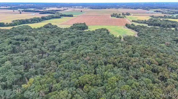 000 Highway DD, Bellflower, MO 63333