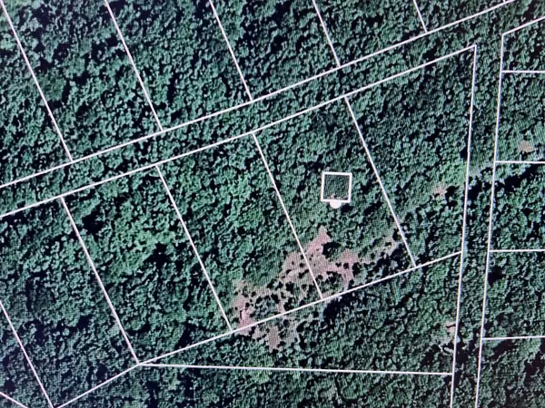 196 Harbor Ln, Holladay, TN 38341