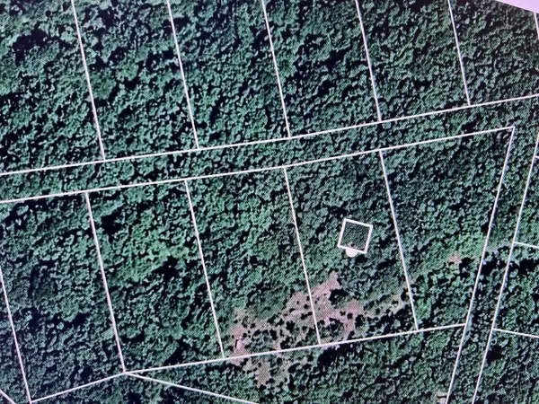 196 Harbor Ln, Holladay, TN 38341