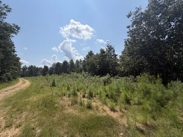 0 Black Bear Trail, Linden, TN 37096
