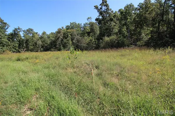 000 Coldwater Creek_Lot 25, Womack, MO 63645
