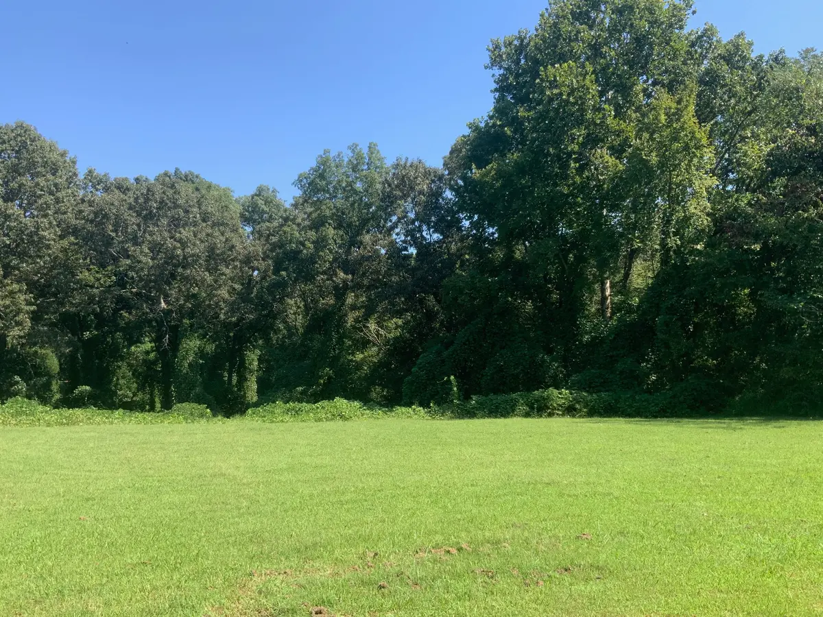 0 Spinks Clay Road, Puryear, TN 38251