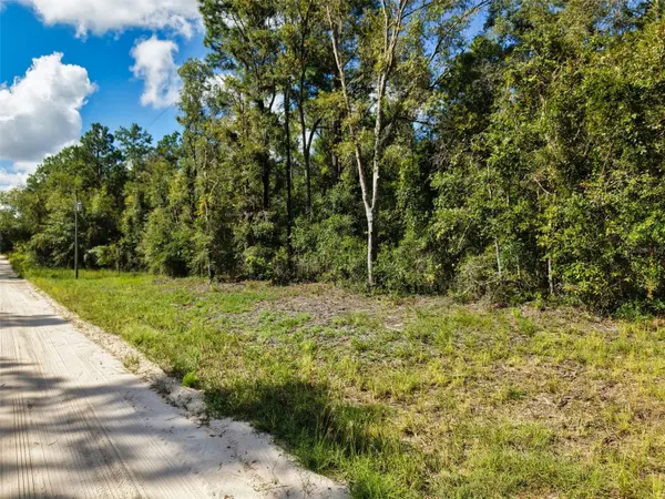 6339 NW 17TH CT, Bell, FL 32619