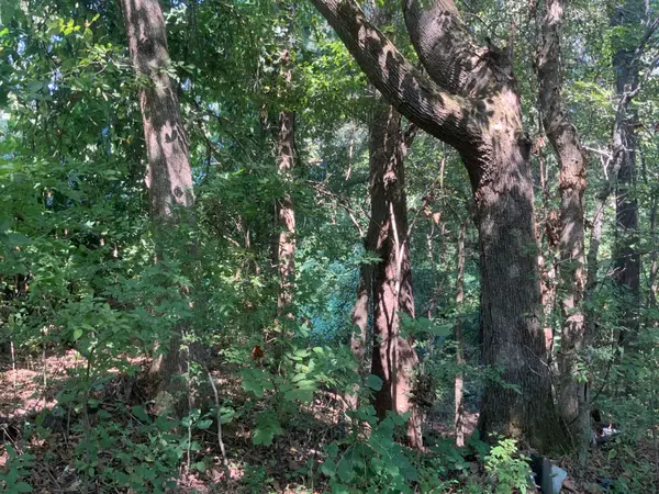 0 Spinks Clay Road, Puryear, TN 38251