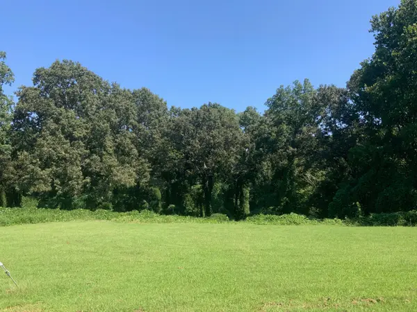 0 Spinks Clay Road, Puryear, TN 38251