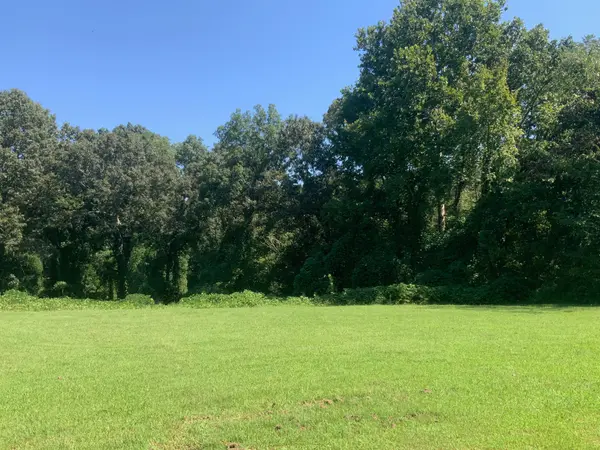 0 Spinks Clay Road, Puryear, TN 38251