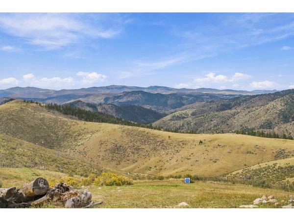 954 Turkey Roost, Livermore, CO 80536