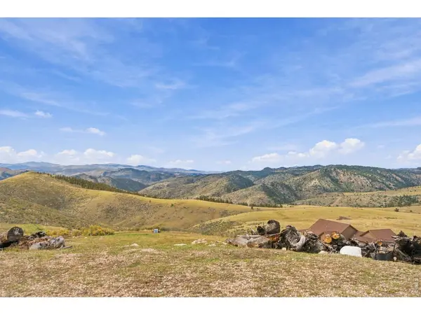 954 Turkey Roost, Livermore, CO 80536