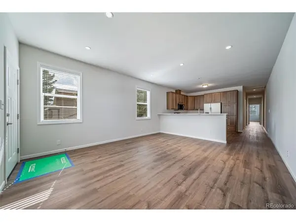 714 W 3rd, Leadville, CO 80461