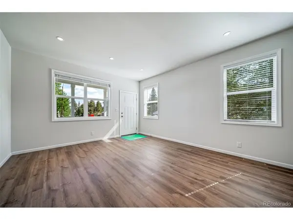 803 W 3rd, Leadville, CO 80461
