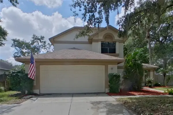 Tampa, FL 33625