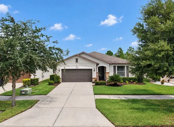 11620 KILKENNY CORAL DR, Riverview, FL 33579