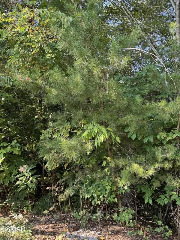 0 progress hill Drive, Pigeon Forge, TN 37863