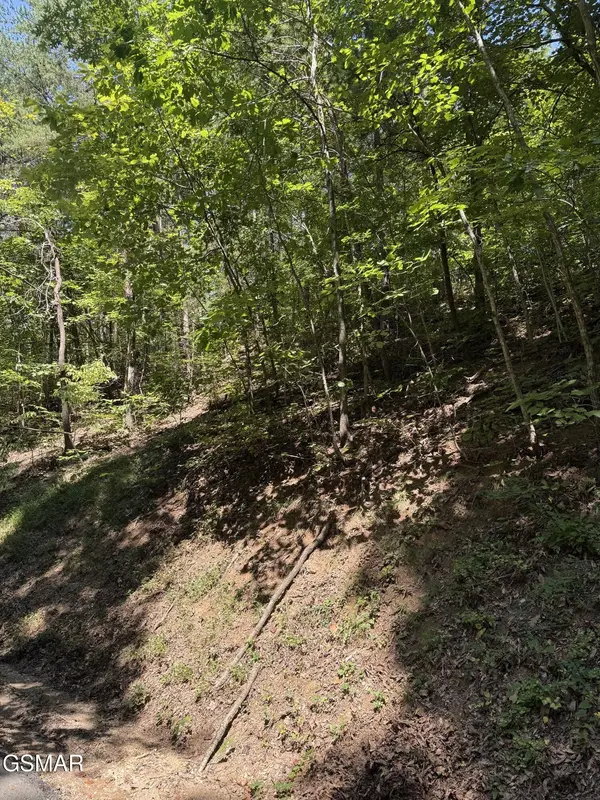 0 Progress Hill Boulevard, Pigeon Forge, TN 37863