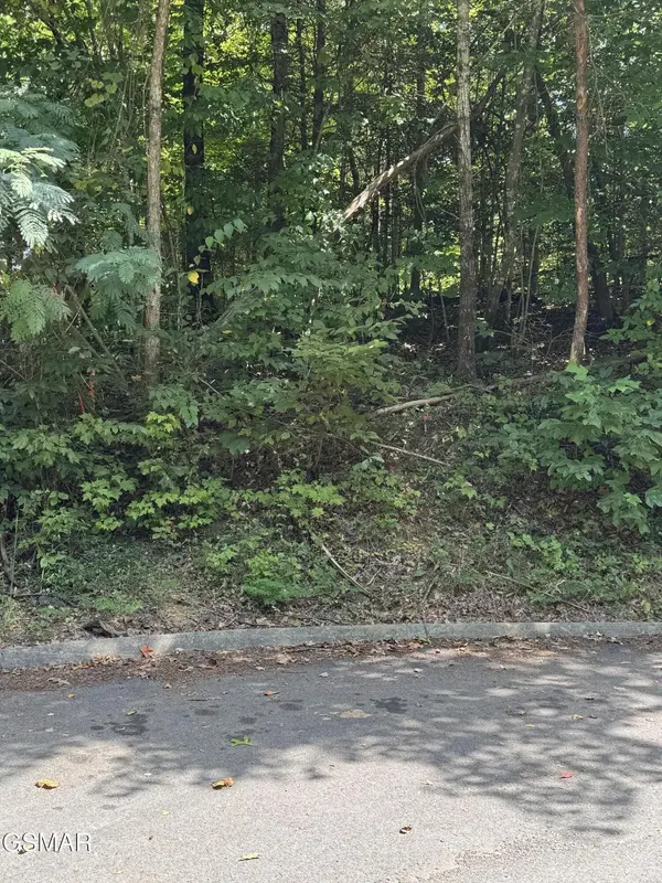 0 SB Ogle Lane, Pigeon Forge, TN 37876