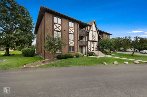 10572 S Palos PL #D, Palos Hills, IL 60465