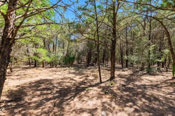 12 Acres Mt Pleasant RD, Cedar Creek, TX 78612