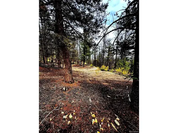 0 Middlefork, Fairplay, CO 80440