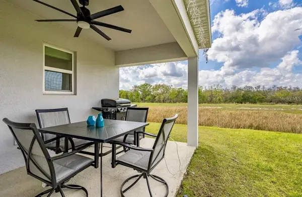 1136 PAPAYA CIR, Davenport, FL 33897