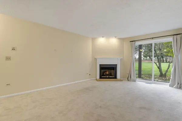 386 Elizabeth DR #386, Wood Dale, IL 60191