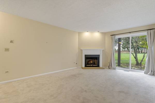 386 Elizabeth DR #386, Wood Dale, IL 60191