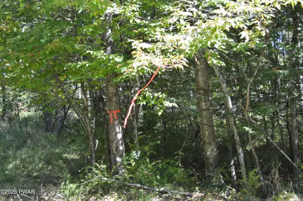 Lot 113 Snow Drift RD, Newfoundland, PA 18445