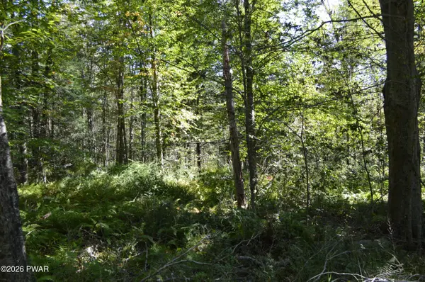 Lot 111 Snow Drift RD, Newfoundland, PA 18445