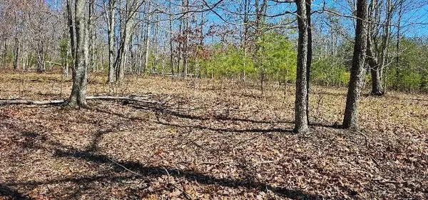 103 Bluffview Drive, Dunlap, TN 37327