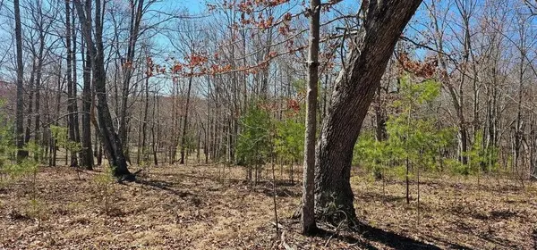103 Bluffview Drive, Dunlap, TN 37327