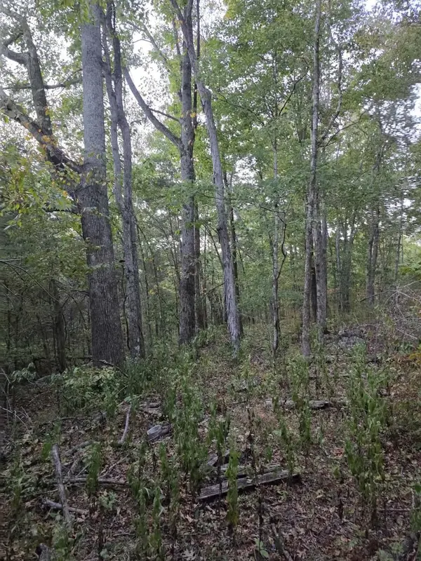 0 Greenfield Estates Dr, Culleoka, TN 38451