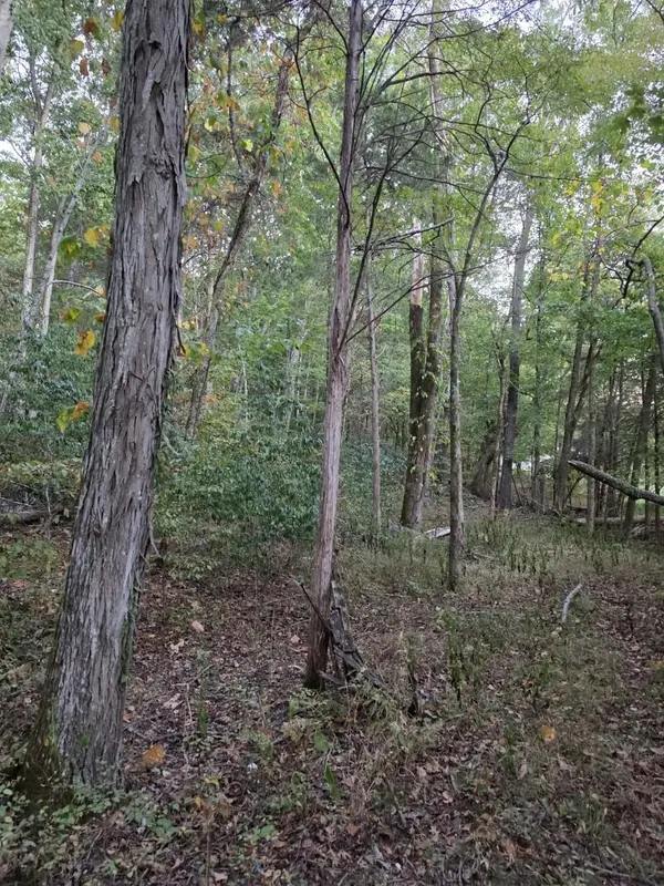 0 Greenfield Estates Dr, Culleoka, TN 38451