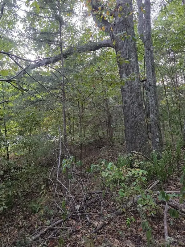 0 Greenfield Estates Dr, Culleoka, TN 38451