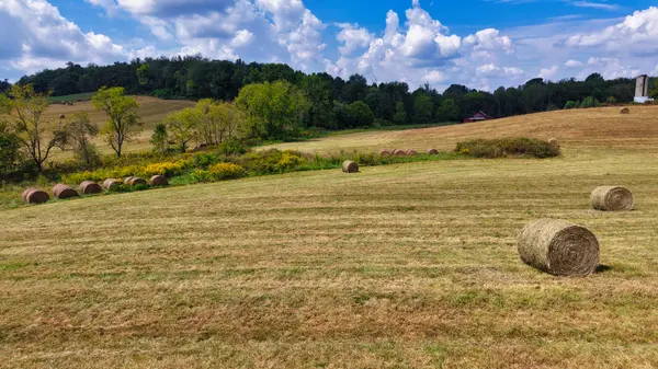 0 Mitchell Ridge Rd, Jonesborough, TN 37659