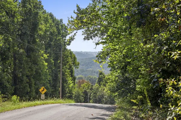 Lot 120 Walnut Springs DR, Cape Fair, MO 65624