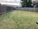 1441 Rainbow Parke DR, Round Rock, TX 78665